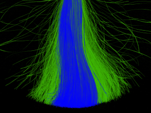 Hair Density Test - HAI15 baseline frizz post app combed PhGx