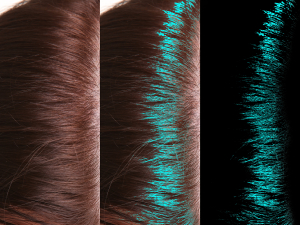 Hair Density Test - SHI05 Hair Shine PhGx