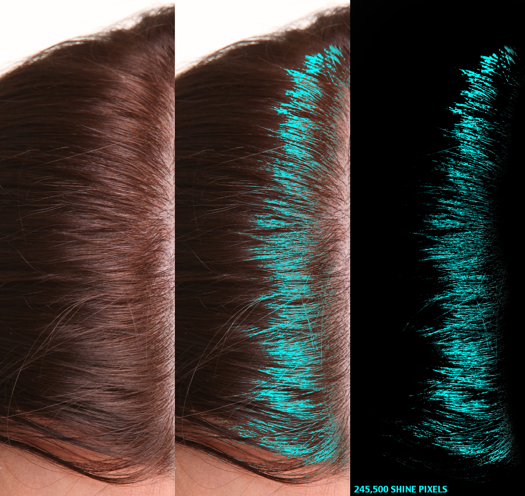 Hair Density Test - SHI05 Hair Shine PhGx